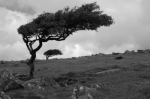 Dorchester Family Church blog image - Prophecy for Andy and Jane